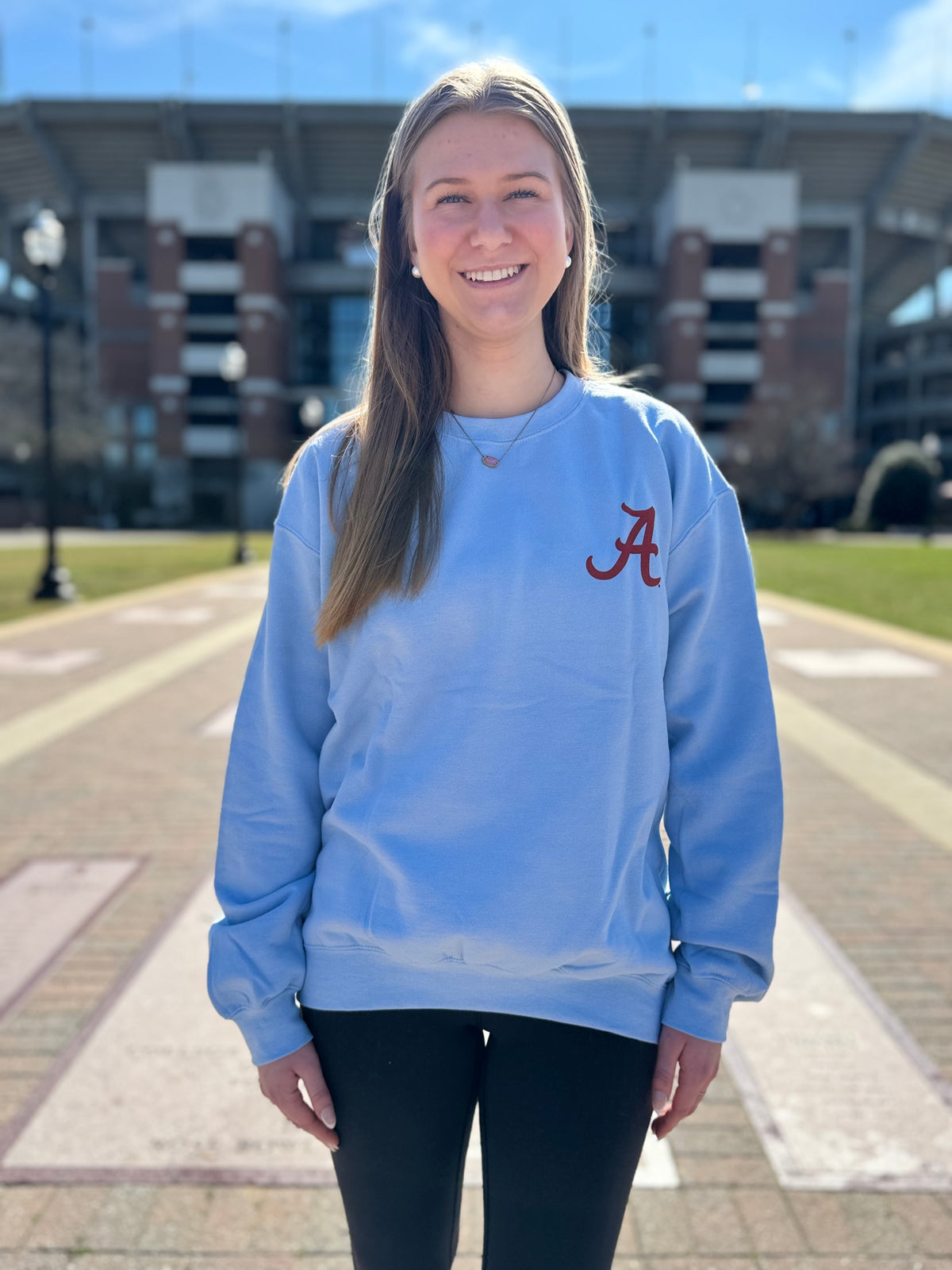 Light Blue Athletic Seal Crewneck Sweatshirt