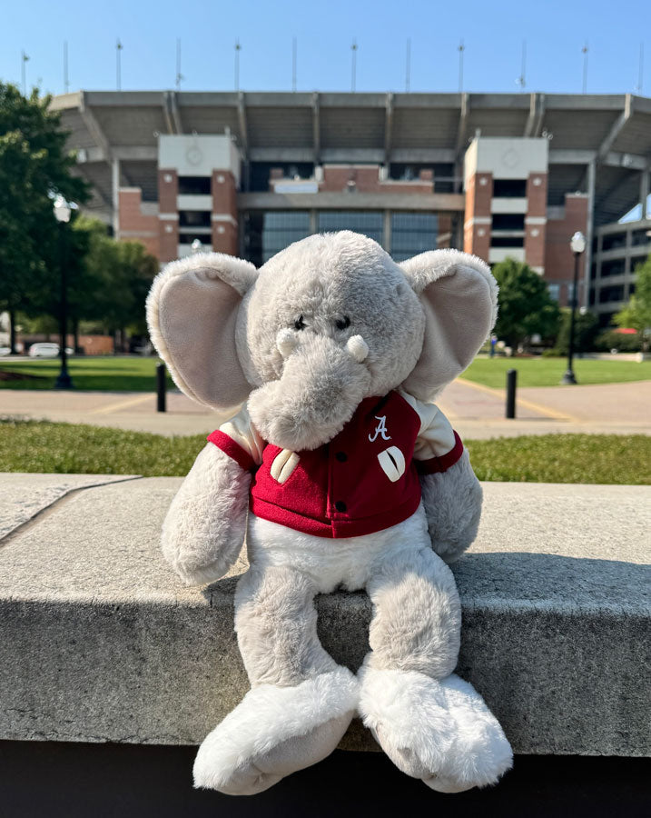 16" Dangles Stuffed Elephant with Letterman Jacket