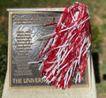 Crimson & White Pom Pom Gameday Shaker