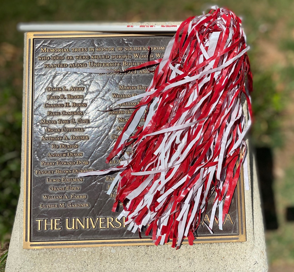 Crimson & White Pom Pom Gameday Shaker