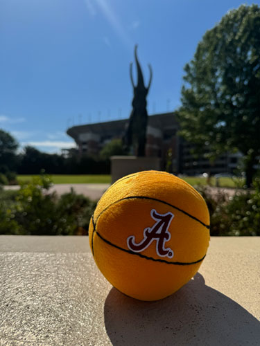 Script A Embroidered Patch Plush Basketball