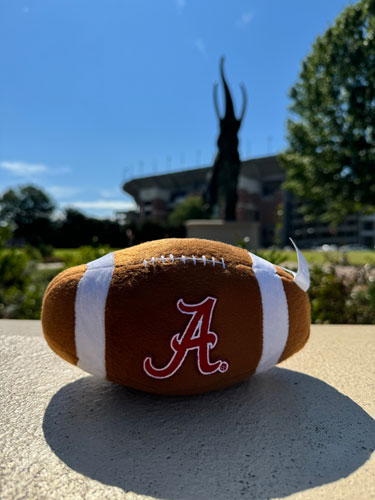 Script A Embroidered Patch Plush Football