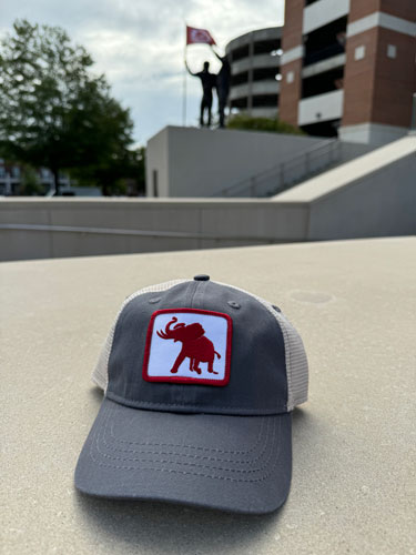 Toddler Pachyderm Patch Trucker Cap