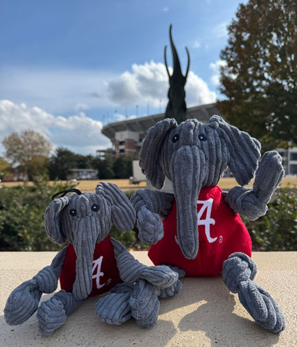 Big Al Mascot Knottie® Plush Dog Toy