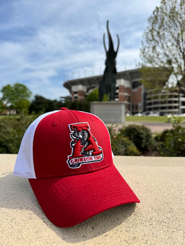 Zephyr Vault Old Logo Big Rig Adjustable Cap